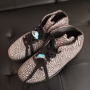 2013 Jordan 5 lab pack